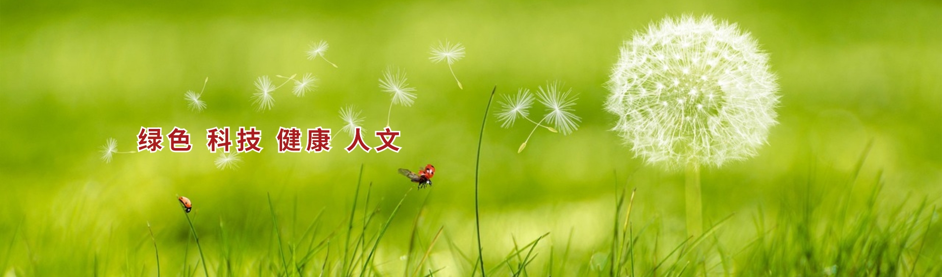ҳbanner